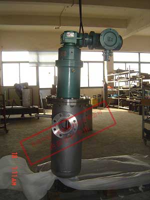 耐高溫真空攪拌機